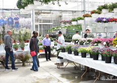 The trial location at Suncrest Nurseries.